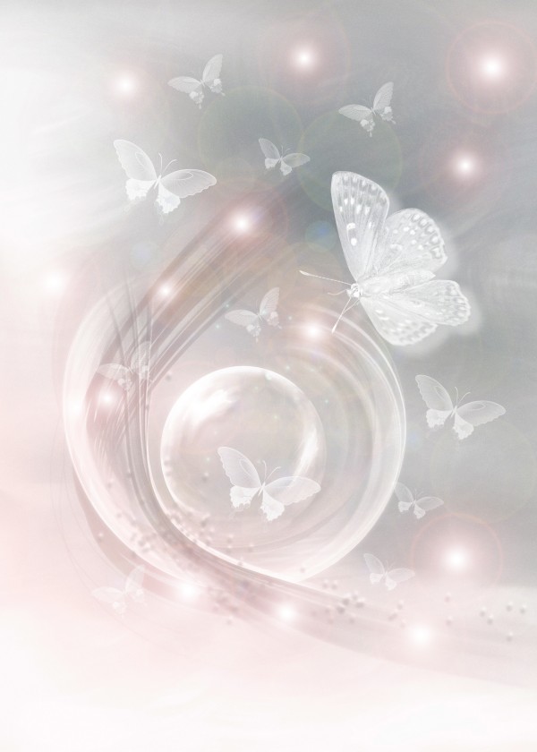 magical dream world of butterflies by Dagmar Marina